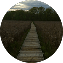 Martha P. profile picture