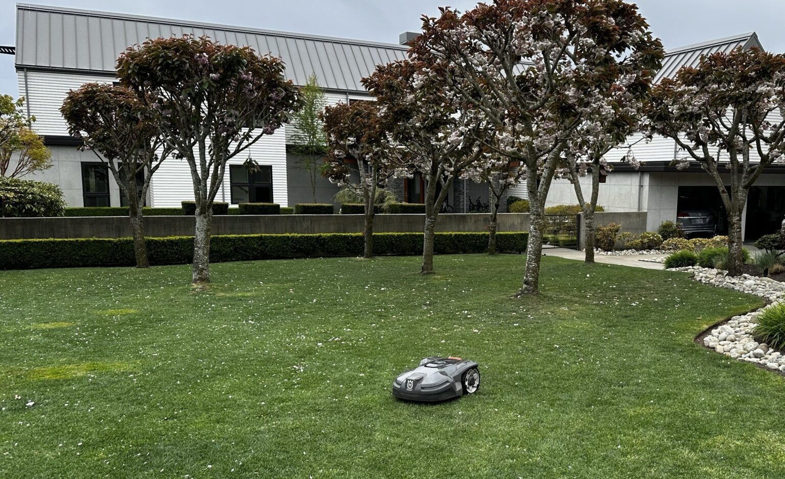 Automowing Random Cutting