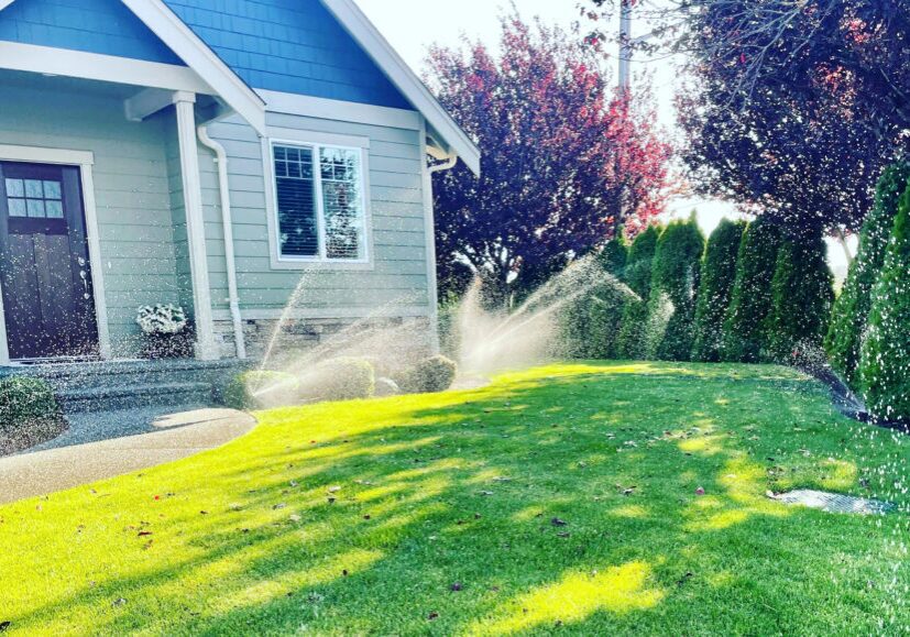 D6DEA217-BD19-44DA-AB77-A87EF343E166