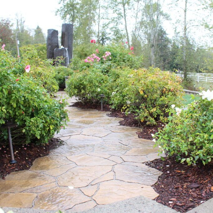 HARDSCAPING PAVER WALKWAY