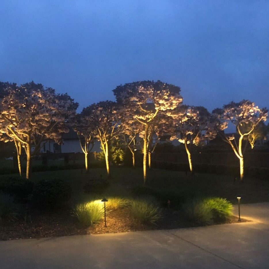 LIGHTING Luxor ZDC Natural