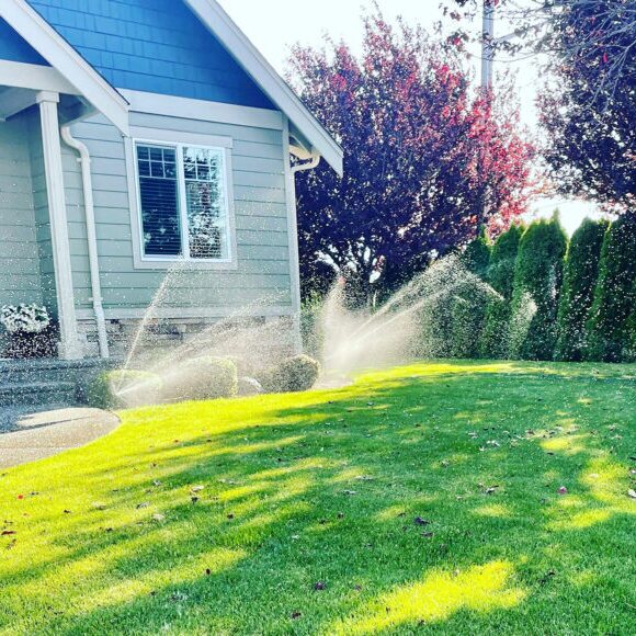 D6DEA217-BD19-44DA-AB77-A87EF343E166