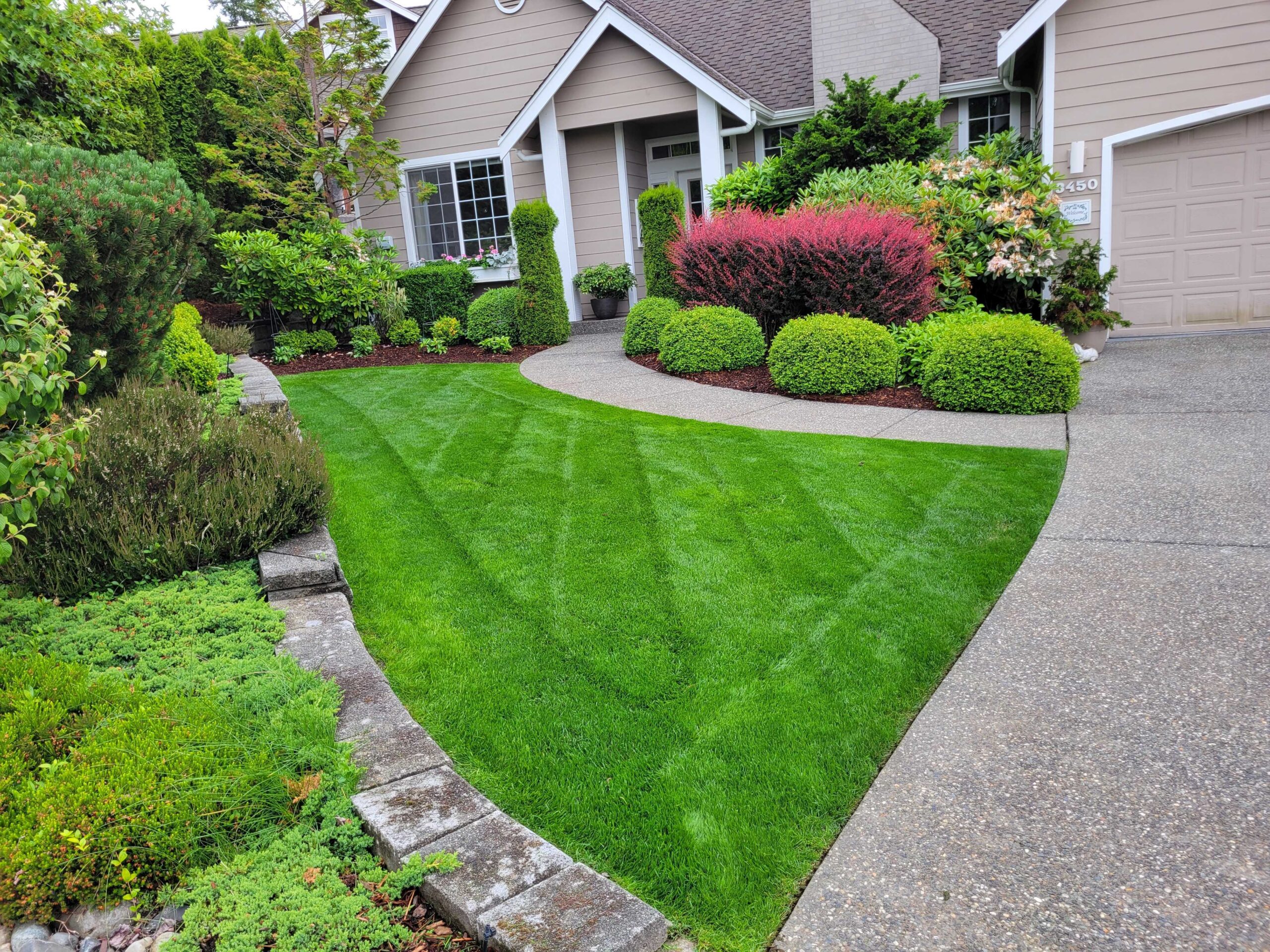 Green Green Fert Grass