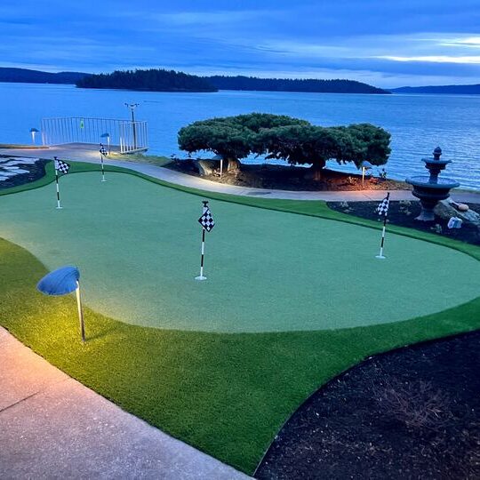 ARTIFICIAL TURF PUTTING GREEN 1 ARTIFICIAL TURF PUTTING GREEN 1