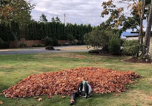 CLEANUP FALL-scaled_JPG