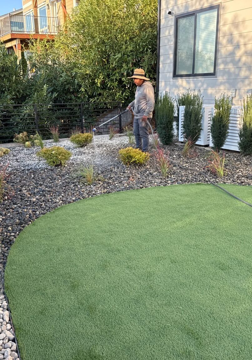 Case Study 1 Barkley Hill Deep watering plants