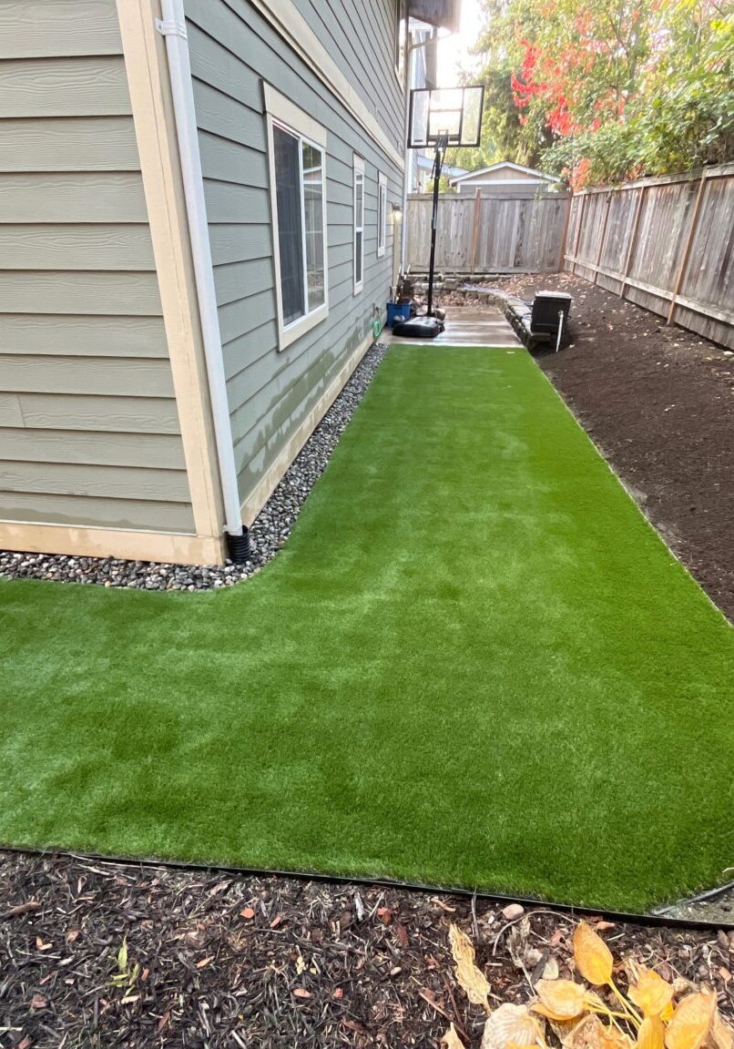 Case Study 2 side after