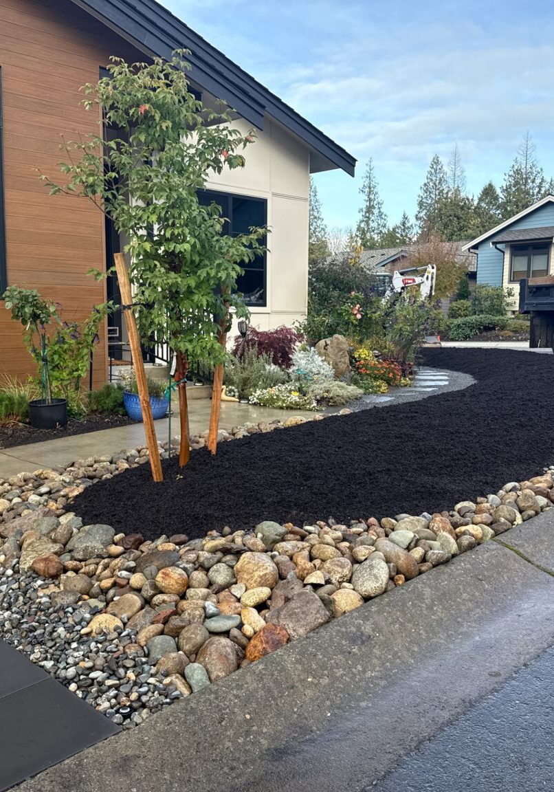 Case Study 3 Black Mulch and Variety of Rock