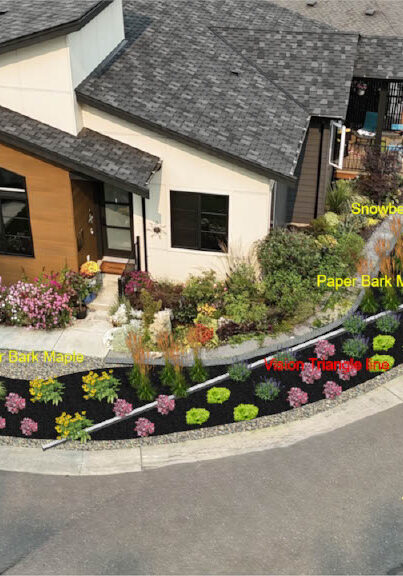 Case Study 3 Design (1)