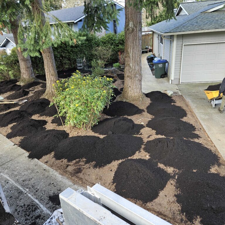Fresh Black Fertile Mulch Fresh Black Fertile Mulch