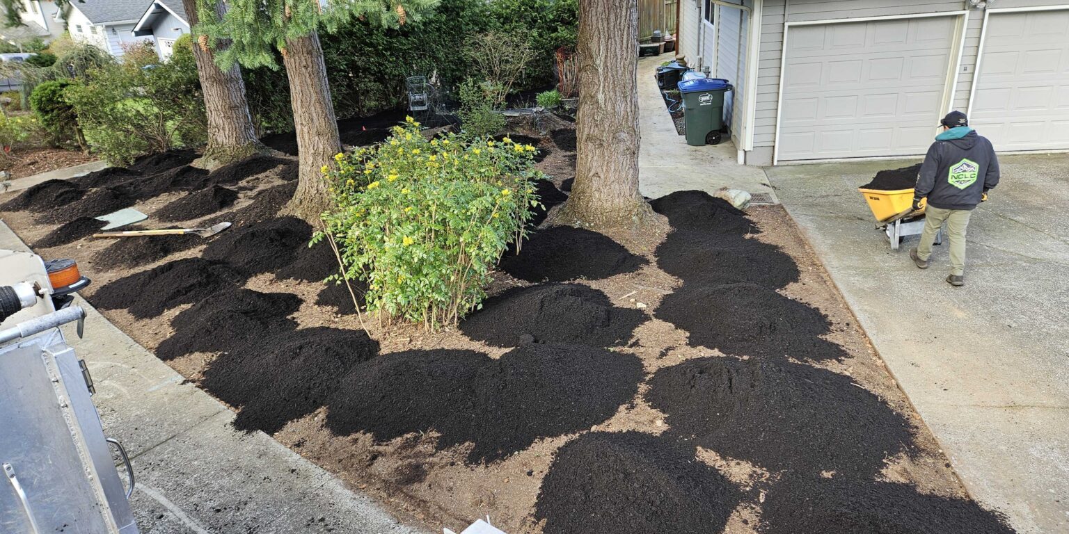 Fresh Black Fertile Mulch Fresh Black Fertile Mulch