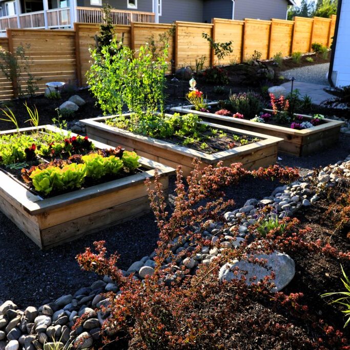 GARDEN BOXES GARDEN BOXES
