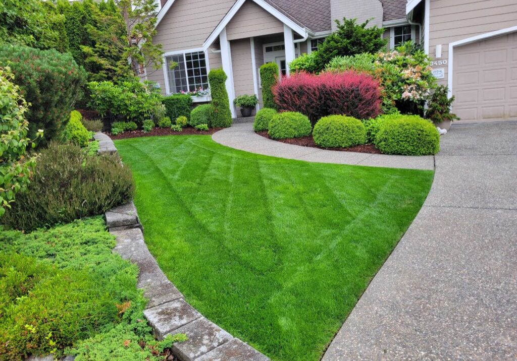 Green Green Fert Grass