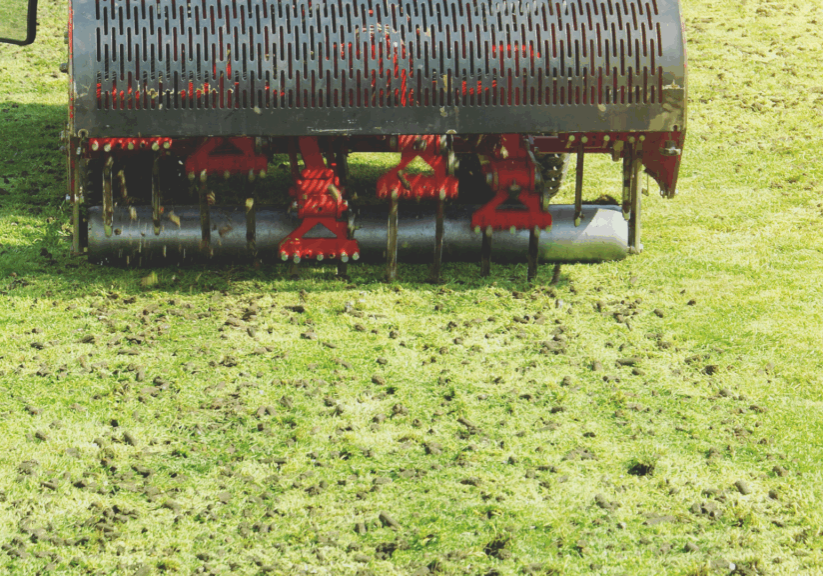 Lawn Aeration