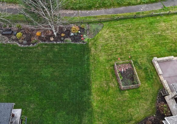 The difference between a lawn treated by North County and one that wasn't.