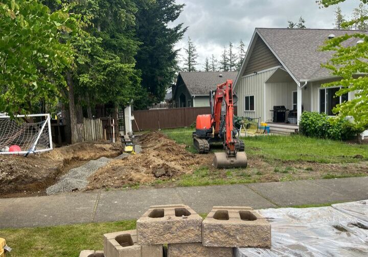 Syn Turf After King Res