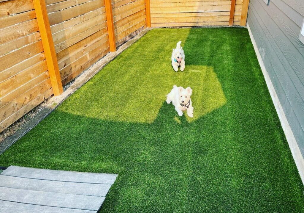 Turf Dog Run w doggies